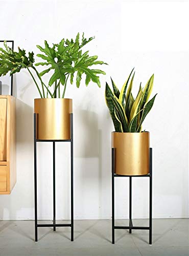 See full amazon price history chart for Arrow Crafts Plant Stand Set - 2-Piece Modern Metal Planter with Tall Metal Stand - Decorative Standing Flower Succulent Pot Holder, Indoor Outdoor Gold Arrow Crafts Plant Stand Set - 2-Piece Modern Metal Planter with Tall Metal Stand - Decorative Standing Flower Succulent Pot Holder, Indoor Outdoor Gold (B091HZQPMV) Amazon Price History, Amazon Price Tracker