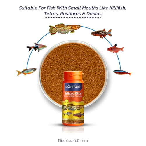 Image of Aquatic Intan Micro Bits Slow Sinking Crumble Fish Food | Crumble for Killifish, Tetras, Rasboras, Danios Fish | Medium Pack 50 Gm Each, Pellet Size 0.4 to 0.6 mm Dia, Pack of 2