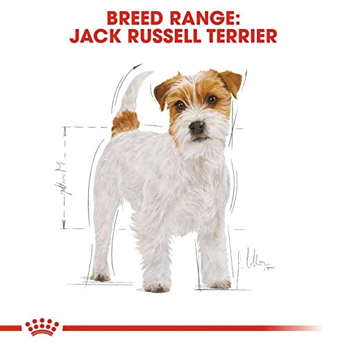 Royal Canin Jack Russel Adult 7,5 kg, 1er Pack (1 x 7.5 kg)