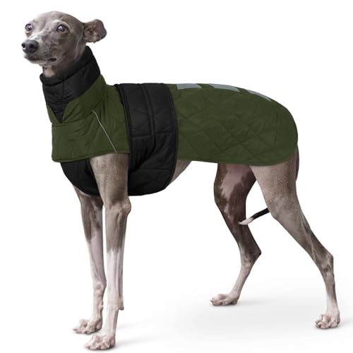 Cappottino Levrieri, Giubbotto Invernale Cane Piccolo Levriero Abbigliamento per Whippet Abbigliamento Piccolo Levriero Italiano