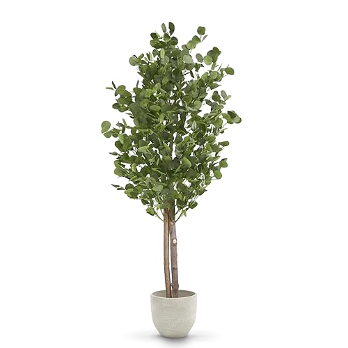 MAIA SHOP Eucalipto Artificial 180 cm con Tronco Natural, Planta Artificial Grande Realista para Salón, Oficina, Hotel o Eventos, Árbol Decorativo Verde de Interior