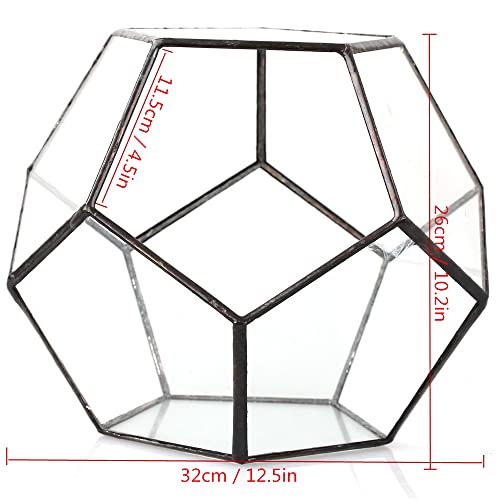 Ncyp Large Pentagon Ball Shape Open Glass Geometric Terrarium Box Tabletop Succulent Plant Planter Fern Moss 10.2 Inches Heightt, No Plants Included #TOP5