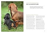 Wenn der Welpe zum halbstarken Hund wird: Gelassen durch die Hunde-Pubertät (überarbeitete und aktualisierte Neuausgabe) (GU Welpen)