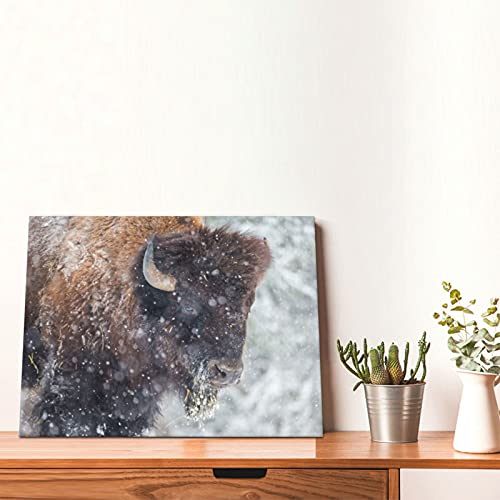Moymtep OPUOICN_428574881-WHITE-48 American Bison Or Buffalo Resting In A Snow Storm Canvas Wall Art Gallery Artwork thumb #5