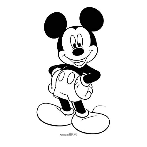 Ritagli Stella Ltd - Libro da colorare Topolino (SCC3)