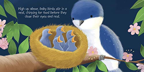 Image of Night, Night to the Animals - Children's Padded Board Book - Bedtime Animals