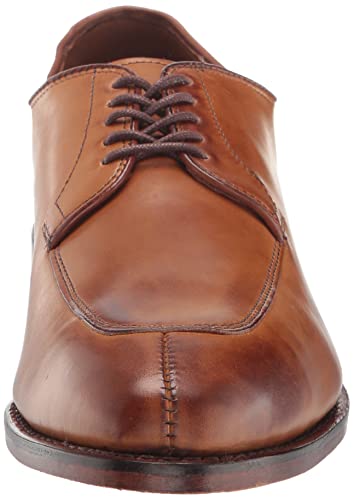 Allen Edmonds Mens Delray Lace up Dress Shoe2