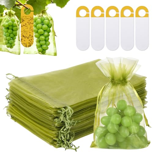 60 Piezas 40×30 cm Bolsas para Uvas en Parra con Cordón, Bolsas Organza Fruta con Cinco Placas de Insectos Pegajosos, Bolsas Protection Uvas para Frutas