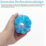 Miaomiao Spielsachen-Set mit Futterball und Snackball aus Naturkautschuk - Zahnpflege für Kleine, Mittelgroße und Große Hunde