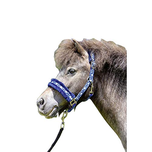 HKM Heart Funda Blau Mini Shetty: cabezada azul acolchada con corazones para poni miniatura