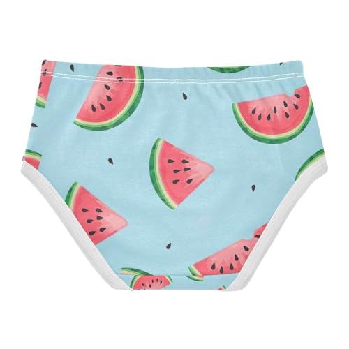 Toddler Girl Briefs, Cute Pink Watermelon Blue Girls' Cotton Brief Underwear, 2–8 Years2