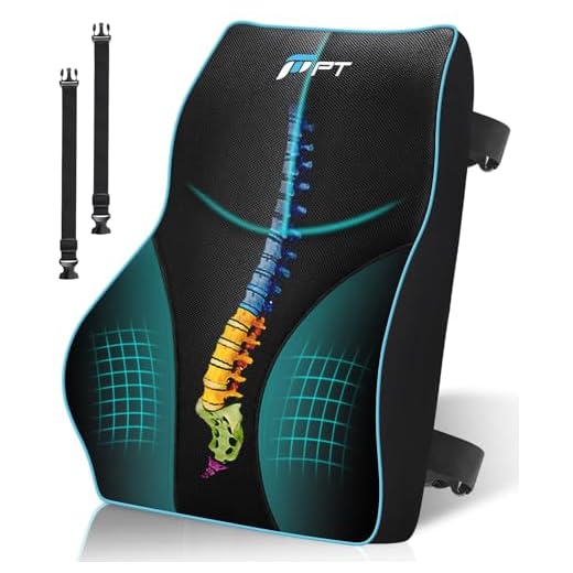 Sotor Cojín Lumbar, Cojín Lumbar Silla Oficina, Cojín Lumbar Coche Apoyo con Esponja Memoria para Silla Coche Oficina, Cojín Lumbar Silla Oficina Respaldo Alivio del Fatiga de Espalda - Negro