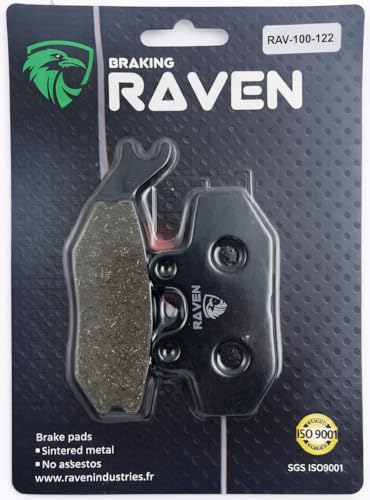RAVEN Plaquettes de frein Arrière Compatible pour Peugeot Satelis 125 Executive de 2006 à 2009