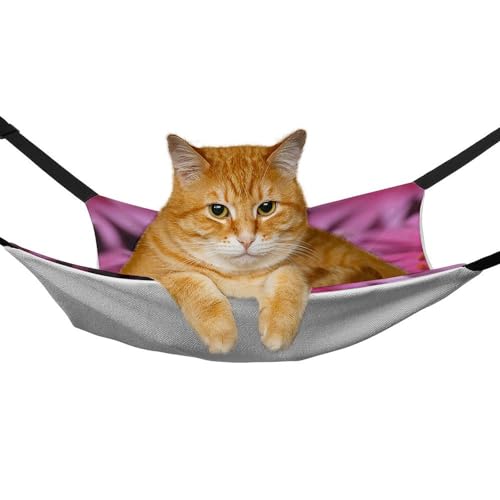 Hamac pour chat réglable et lit suspendu doux imprimé araignée rouge