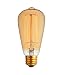 Newhouse Lighting 60-Watt Vintage Edison Filament Light Bulb, Medium (E26) Standard Base E27, 120V, 230 Lumens
