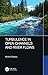 Turbulence in Open Channels and River Flows