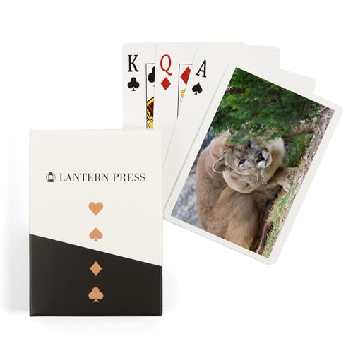 Lantern Press Cougar Crouching, 52 naipes poker