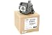 Produktbild Alda PQ Referenz, Beamer Lampe kompatibel mit EPSON EH-TW7200, EH-TW8000, EH-TW8100, EH-TW8200, EH-TW8200W, EH-TW9000, EH-TW9200, EH-TW9200W, H398A, H426A, HC5010, HC5010E Projektoren