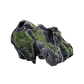 熱帯魚のオブジェ　７点セット 楽天市場】オブジェ 大型（水槽・アクアリウム内装｜熱帯魚