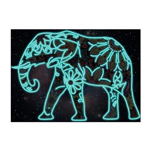 Songdao 5D Diamond Painting Kit, Luminous Diamond Art Easy Kits - Image 2