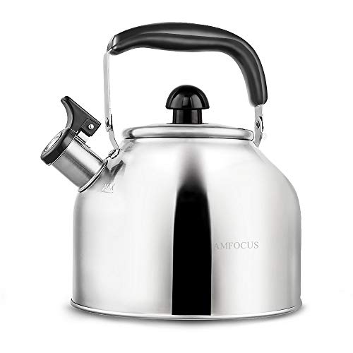 Whistling Tea Kettle Stove TopTeapot, Stainless Steel Teakettle with Fast Boiling Base (3.9Q)