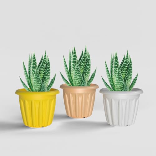 Image of YUCCABE ITALIA SHERA Floot 6 Inch Plastic Flower Pot 3 Piece Set of Round Shape Planter for Home Garden Seedling Planter for pots (Multicolor)
