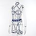 Women Fashion Print Mesh Lingerie Lace Lingerie Two Set Sexy Underwear womens sexy lingerie sets (Blue, M)