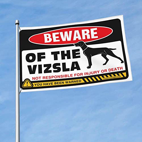 Drapeau de chambre drôle avec Vizsla pour man cave et dortoir universitaire