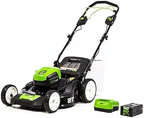 Earth Friendly Greenworks Tools
