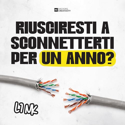 428 - Riusciresti a sconnetterti per un anno?