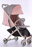  Silla de paseo Juguea Rosa