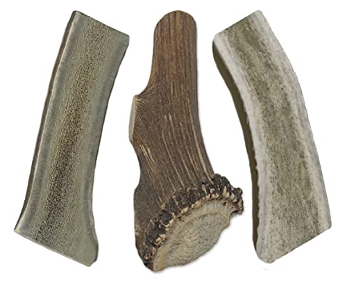 WhiteTail Naturals Premium Split Elk Antlers for Dogs | 3 Pack Large | All Natural Dog Chews | Naturally Shed, Big Antler Horn Chew Toy