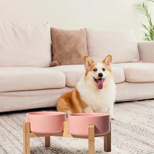 Hundenapf Set Erhöht Hunde Napfset - Doppel Napf Hund Keramik mit rutschfestem Ständer - Erhöhte Futterstation Hund 2er Set für Futter und Wasser - Ideal für kleine und mittelgroße Hunde - 2 x 850 ml