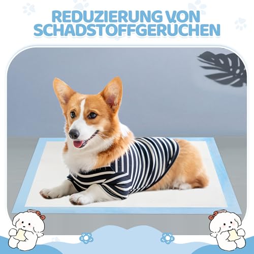 100 Stück PIPI Matten für Hunde, 33x45cm Welpen Unterlagen Trainingspads, Auslaufsicheres 5 Lagiges Design, Super Saugfähige Oberfläche, Welpenunterlagen Einweg für Kranke und Inkontinente Tiere