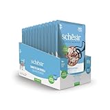 Schesir