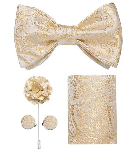 Image of DiBanGu Paisley Bow Ties for Men Silk Self Tied Bowtie and Pocket Square Cufflinks with Lapel Pin for Wedding Party