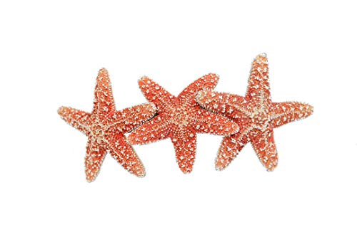 HL-157M Medium Mardi Gras Purple Green and Gold Metallic over Yellow Gold Hair Bow