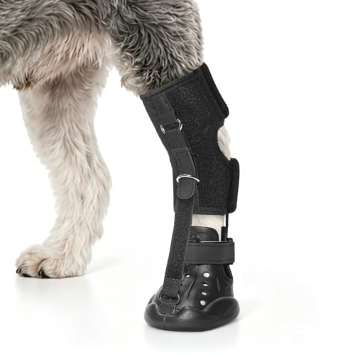 Protective Dog Shoes for Hot Pavement, Extra Small