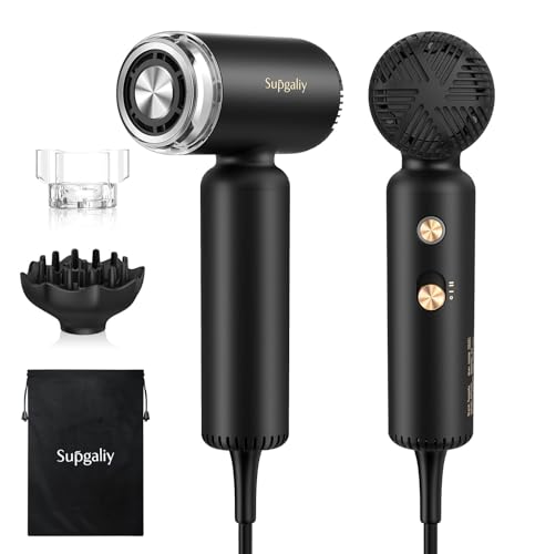 Compact Dual Voltage Hair Dryer with Ionic Technology