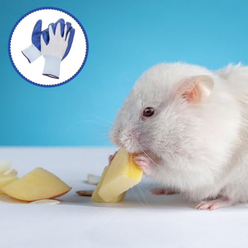 Mikikit Bissfeste Handschuhe Für Haustiertraining Kratzfeste Anti-Biss Handschuhe Mit Verdicktem Schutz Flexibel Und Komfortabel Für Hamster Katzen Und Hunde 8.66X5.12X0.20In