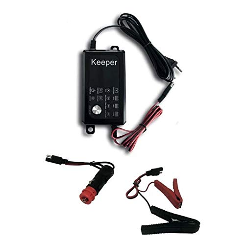StickersLab - Carica batterie, mantenitore, riparatore, riattivazione batterie piombo 6V 12v da 4Ah a 120Ah