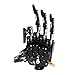 HIWONDER Robot Hand Five Fingers Solely Movement Bionic Robot Mechanical Arm Hand DIY Robotï¼ˆLeft Handï¼‰