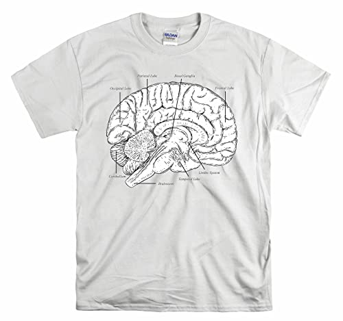 T-shirt Brain Anatomy Neurology blanc S pour homme et femme aux finitions graphiques soignées