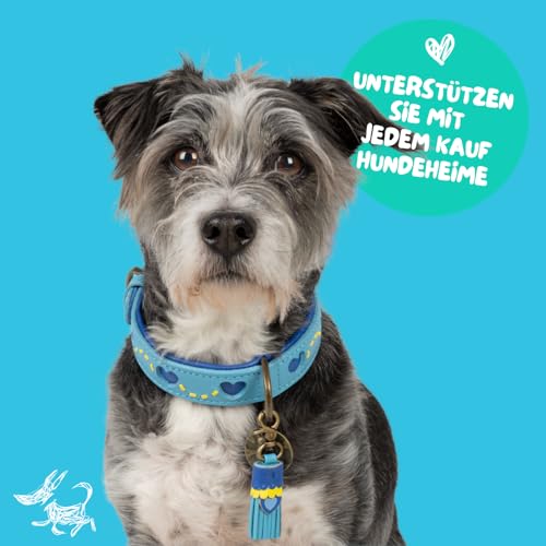 Dog with a Mission - Hundehalsband S | Sky | Blau mit Herzen | Boho und Hippie | Ideal für mittelgroße Hunde | Handgemacht | Modisch und Bunt | Aus weichem Echtes Leder | 2,5 cm Breit