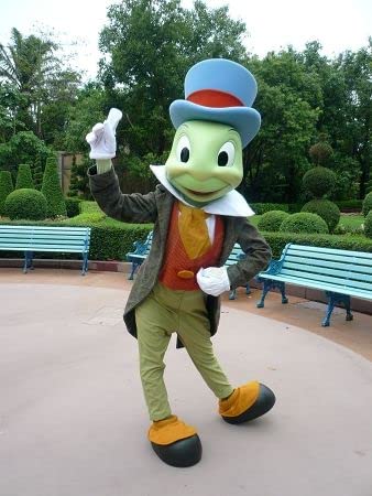 FurryMascot Jiminy Cricket Mascot Waver Custom Mascot Costume Party Carnival Mascotte Costumes For School Sports