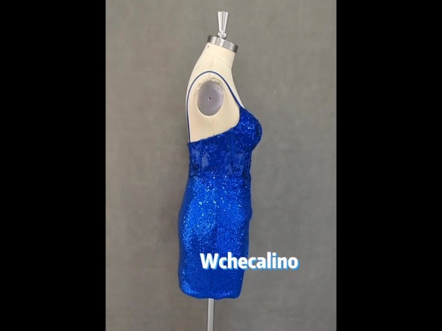 sachin and babi light blue dress All That Jazz Women's Dress Size 5/6 S (4-6) main image 0