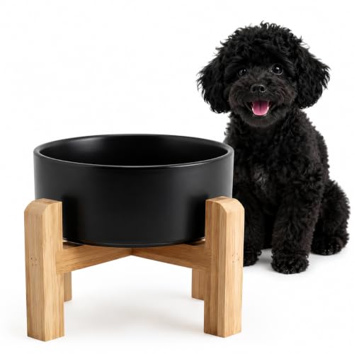 Elevated/Raised Ceramic Dog Bowl with Bamboo Stand6 Inch 3.6 Cups Non Slip Heavy Weighted Single Pet Dish for Small Medium Breed & Cats Reduces Neck Strain Black