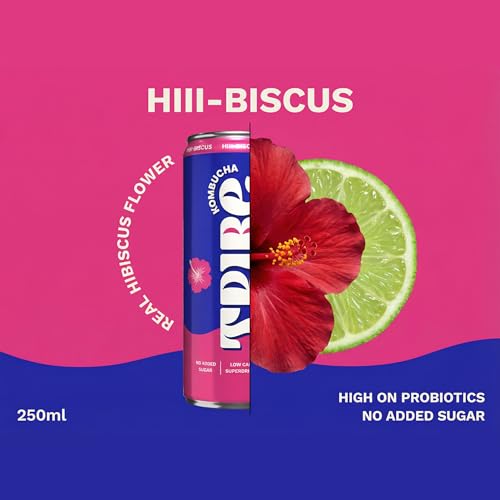 Image of Tribe Kombucha Probiotic Super Drink | Supports Gut Health | Gluten-Free | Naturally Fermented | Super Refreshing | Gut Friendly | Improves Blood Sugar | Antioxidant and Hydration | No Added Sugar |250 ML X 2 (HII BISCUS)