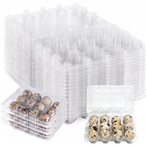 50 Stück Wachteleier Behälter Wachteleierschachteln Wachteleier Box Kunststoff Eierschachtel Wachteln 12 Gitter Wachteleierboxen Plastik Transparente Wachtelei Box Wachteleier Aufbewahrung