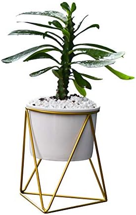 Lanker 4.3 Inch Round White Ceramic Succulent Planter Pots Cactus Plant Holder with Modern Geometric Stand (Round 4.3 Inch)
